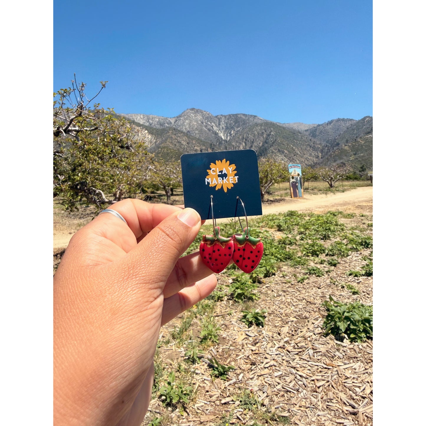 Strawberry field Hoopies