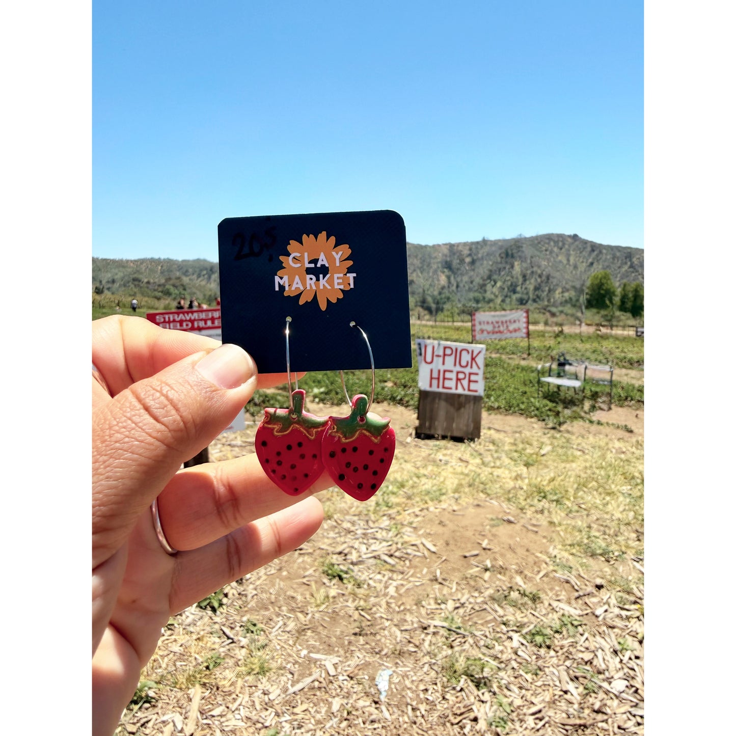 Strawberry field Hoopies